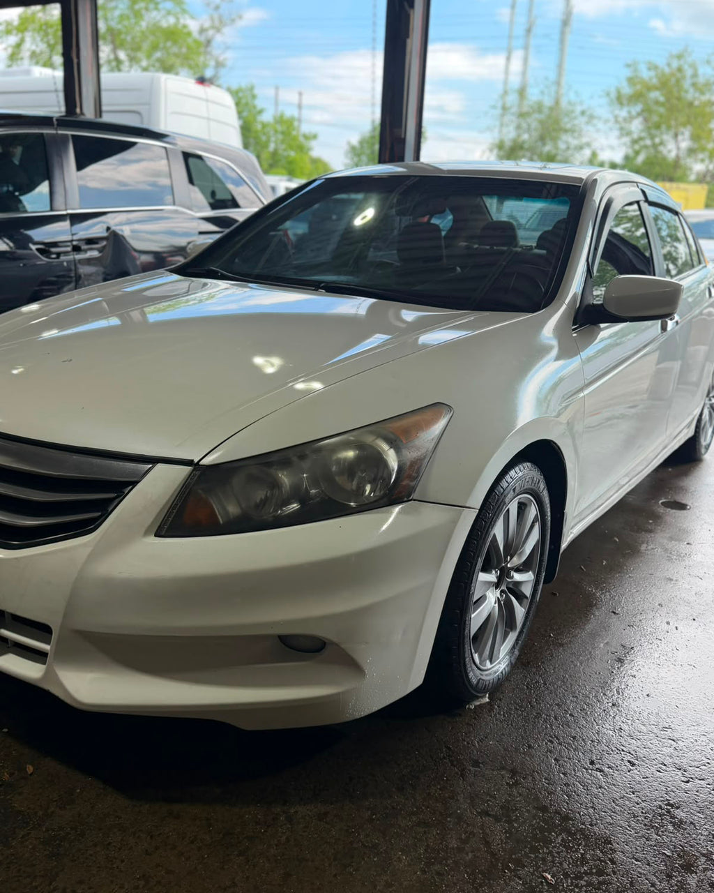 Honda Accord V6
