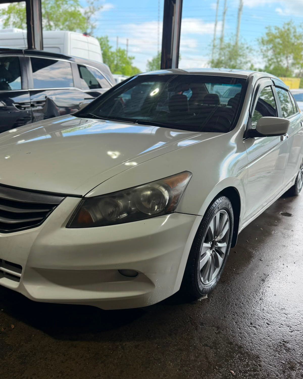 Honda Accord V6