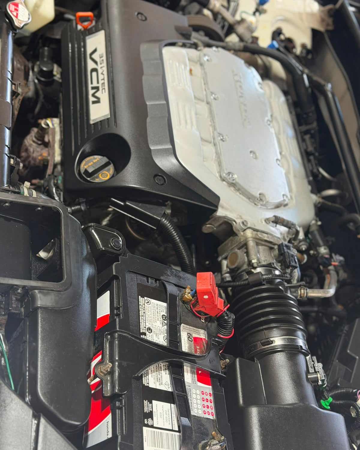 Honda Accord V6