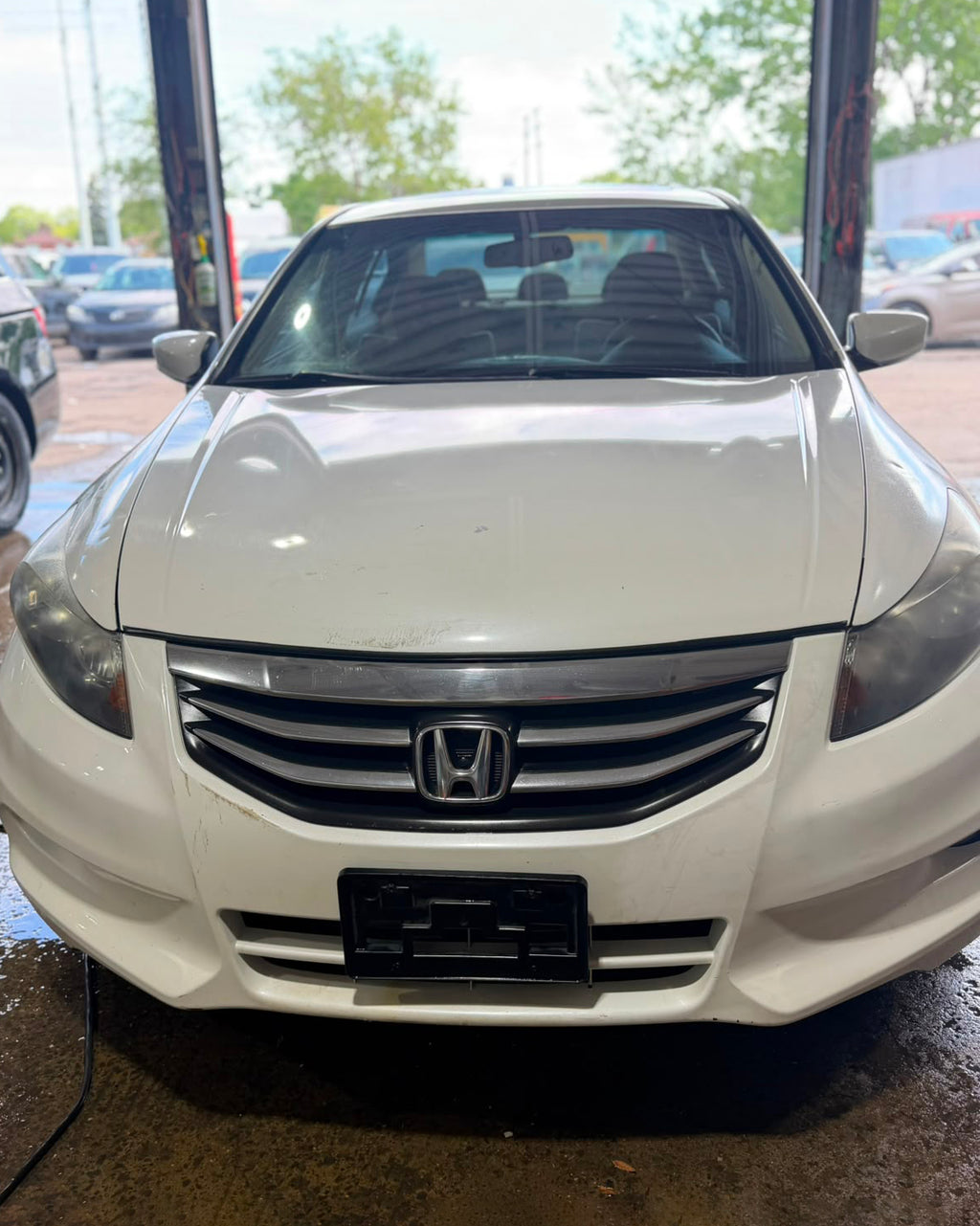 Honda Accord V6