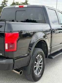 
										2018 Ford F-150 | Powerful & Reliable Pickup full									